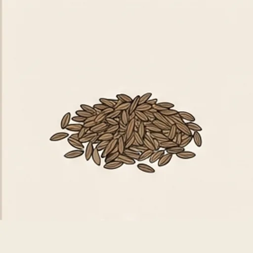 Anise