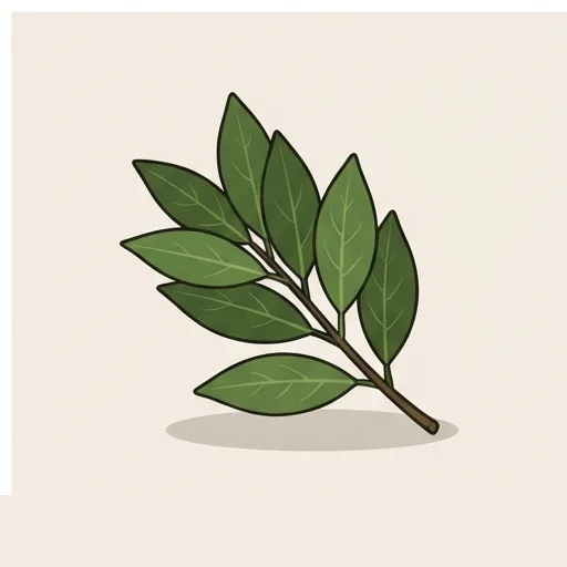 Bay leaf