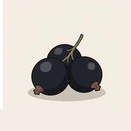 Blackcurrant
