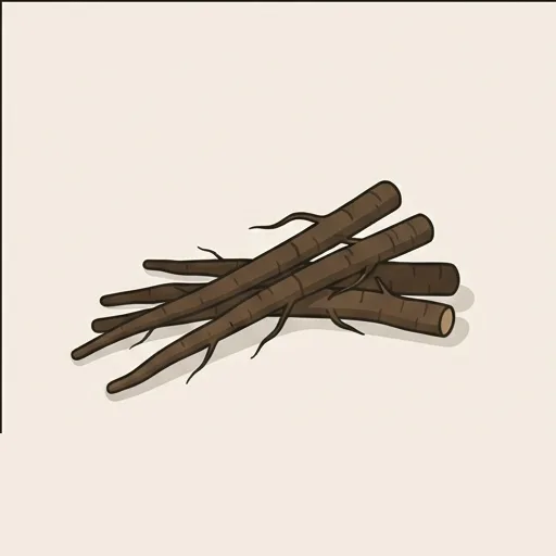 Burdock root