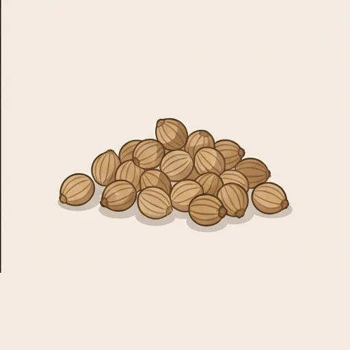 Coriander seed