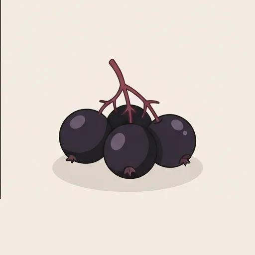 Elderberry
