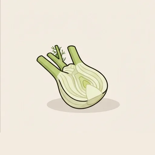 Fennel bulb