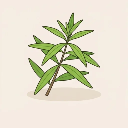 Lemon verbena