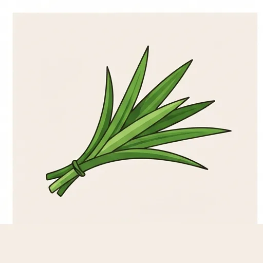 Pandan