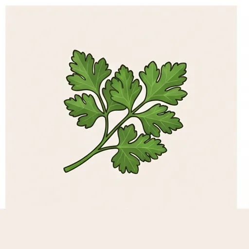 Parsley