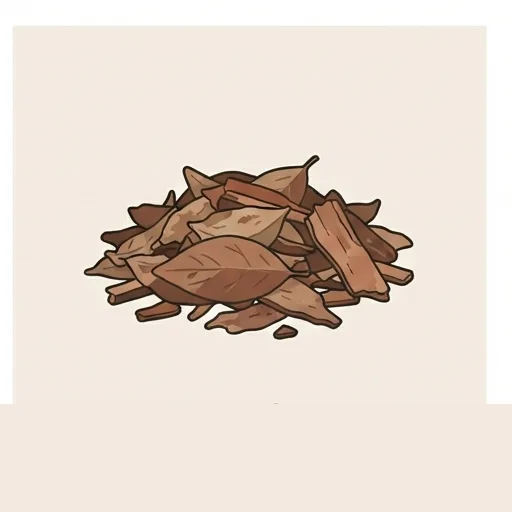 Sassafras