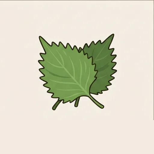 Shiso