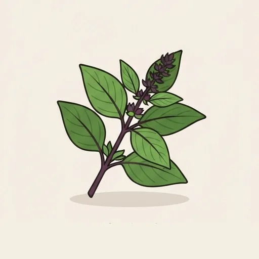 Thai basil